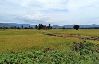 VENTA DE TERRENO DE 60 HAS. EN SAN MARTÍN